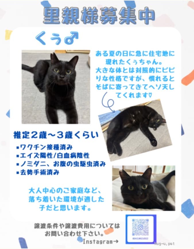 ちょっぴりビビりなくぅちゃん 2
