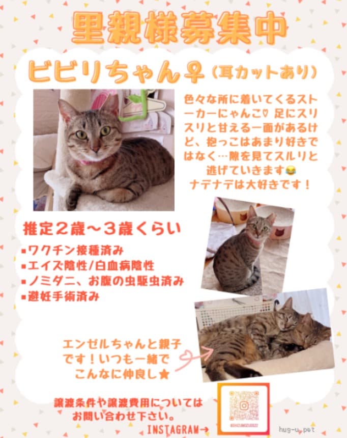 穏やかで優しいビビりちゃん 3