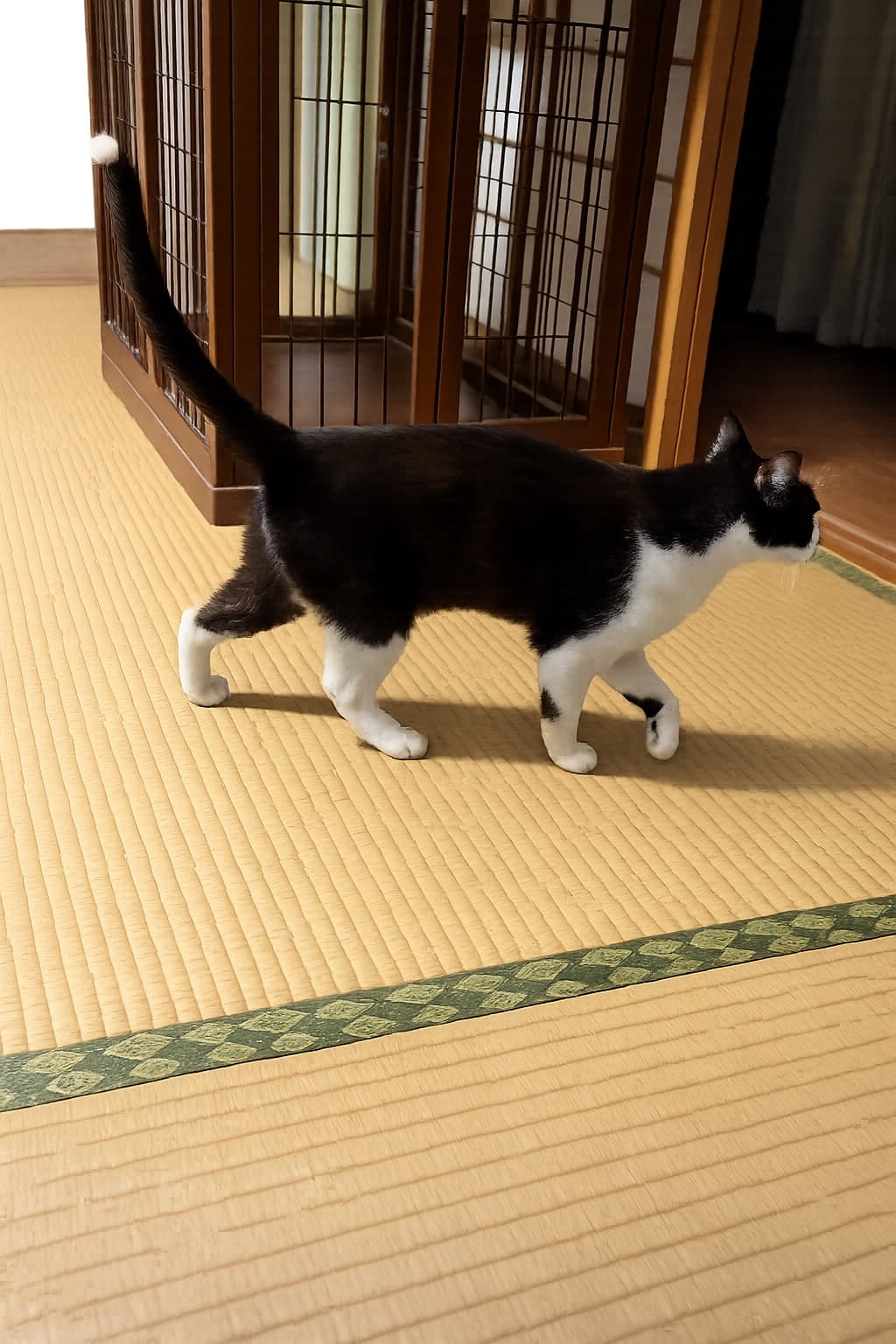まお君 2