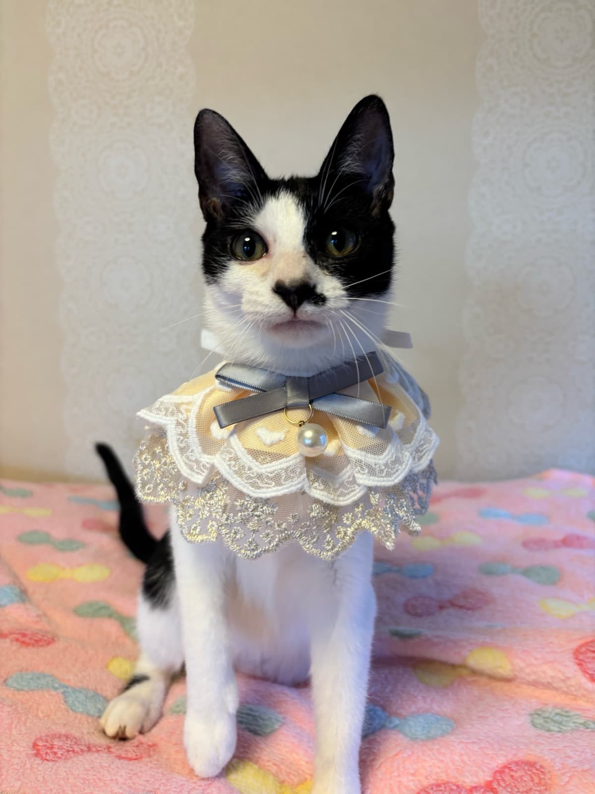 実は甘えんぼなしずかちゃん 4